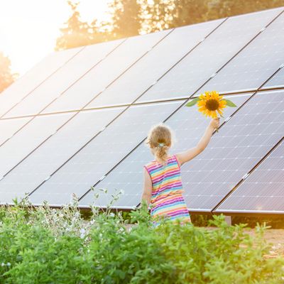Ein Mädchen geht neben einer Photovoltaikanlage vorbei und hält eine Sonnenblume in die Luft.