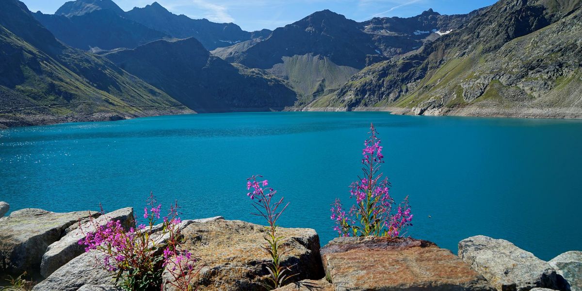 Stausee Speicher Finstertal. Auf der Seite vom See sind Steine und Blumen.